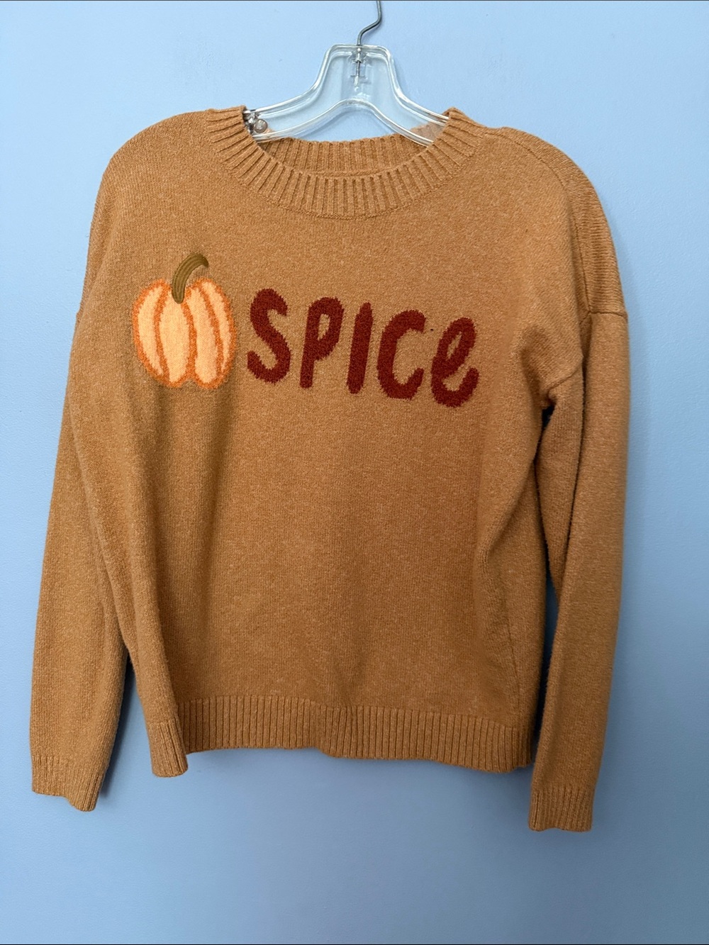 LOFT Pumpkin Spice Graphic Crewneck Sweater Fall Cozy Small - Picture 2 of 10